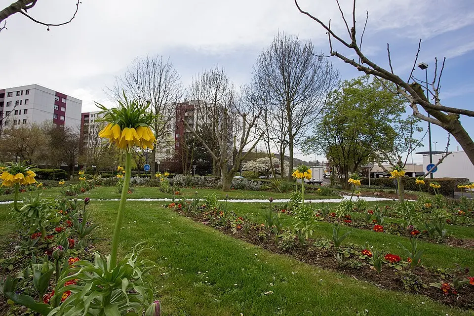 Photographie à Montigny-lès-Cormeilles (95370) pour votre Serrurier